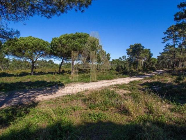 Sesimbra Sesimbra 102187824