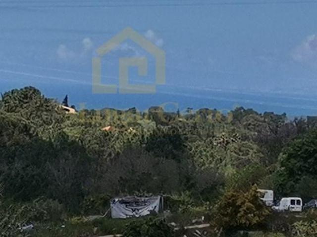 Sesimbra Sesimbra 103419703