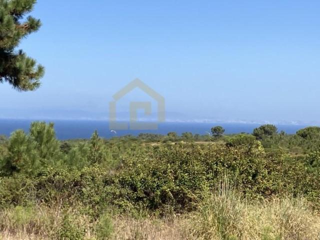 Sesimbra Sesimbra 103816121