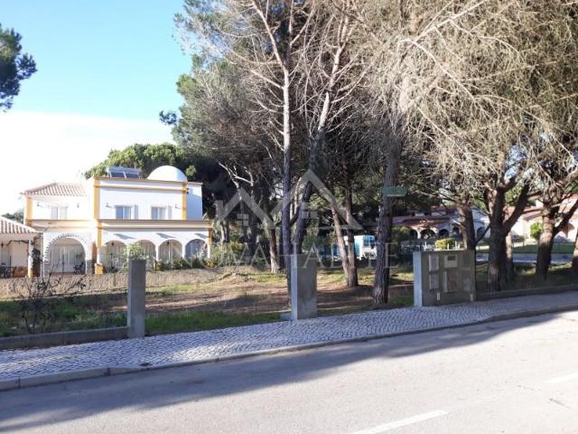 Sesimbra Sesimbra 103977445