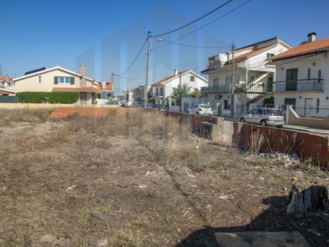 Sesimbra Sesimbra 103205614