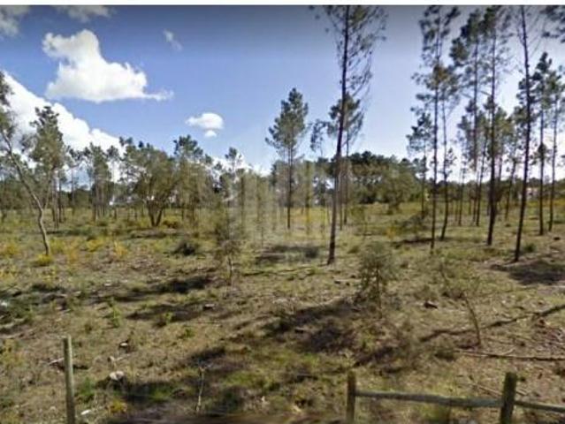 Sesimbra Sesimbra 103333301