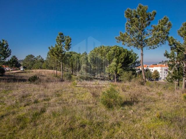 Sesimbra Sesimbra 103394211
