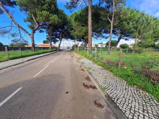Sesimbra Sesimbra 104580374