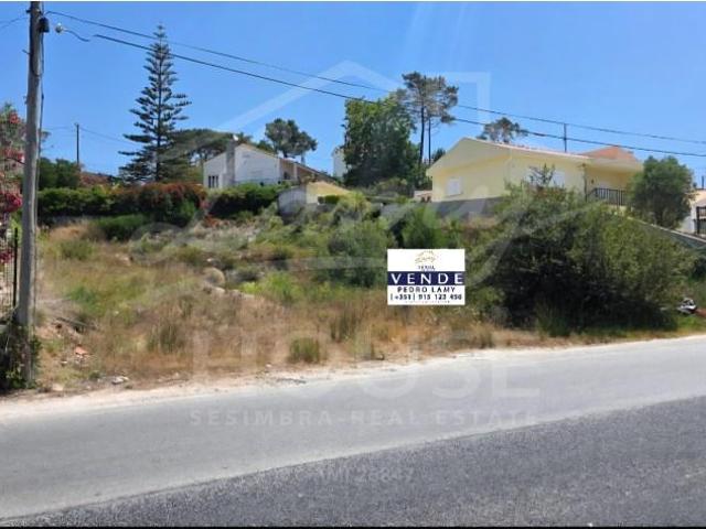 Sesimbra Sesimbra 104147949