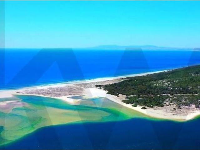 Sesimbra Sesimbra 105691430