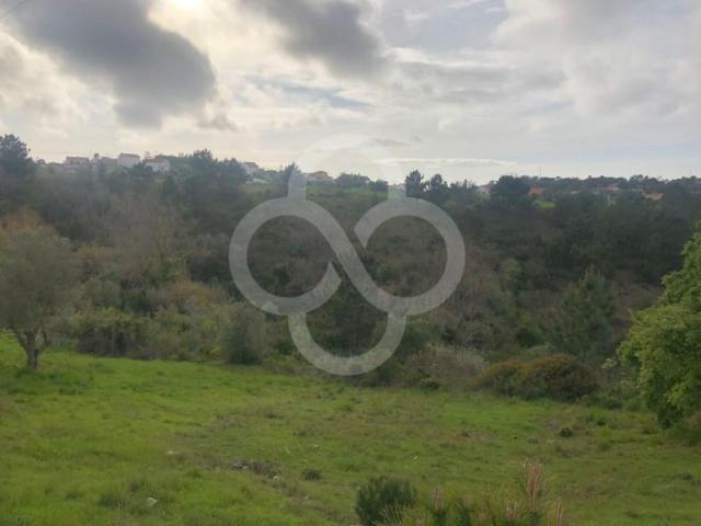 Sesimbra Sesimbra 2970 208 89673598