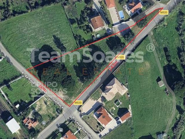 Sesimbra Sesimbra LS102532842