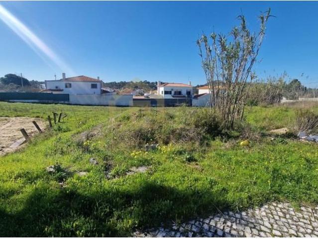 Sesimbra Sesimbra LS99310990
