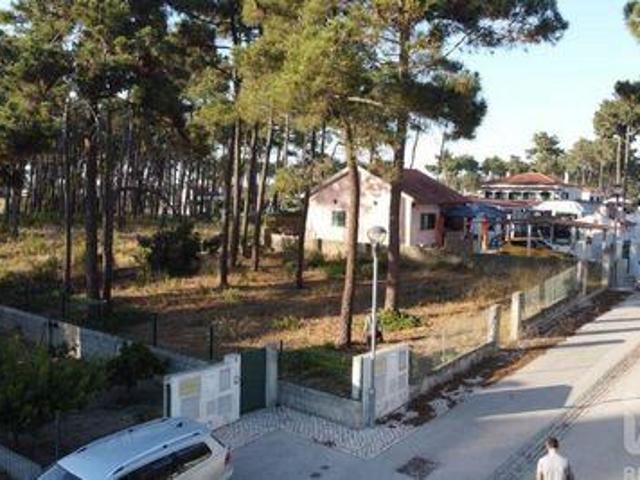 Sesimbra Setubal 102253036