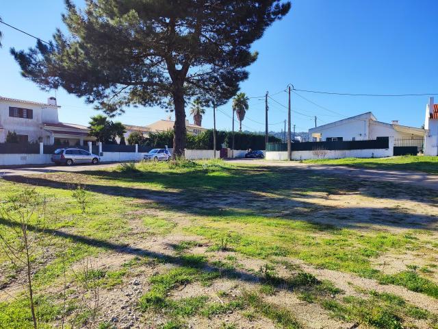 Sesimbra Setúbal 46078361