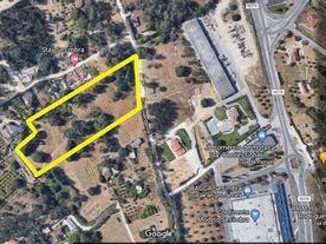 Sesimbra Setubal 99129889