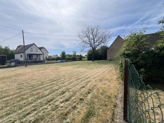Sessenheim Vente Terrain 67