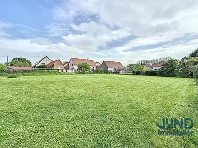 Sessenheim 67770 Achat / Vente terrain