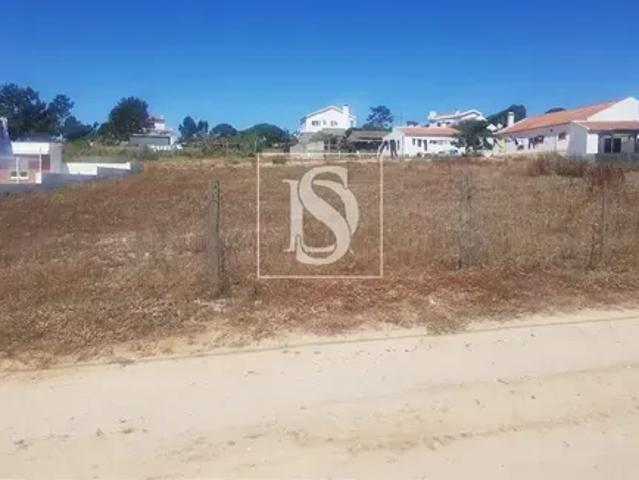 Setúbal Santiago do Cacém 103541186