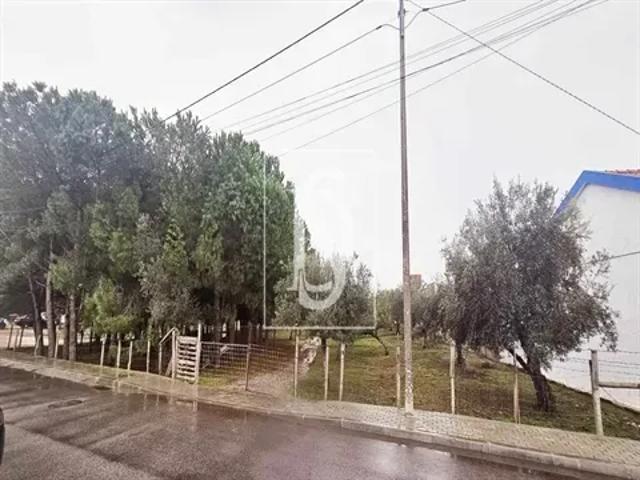 Setúbal Santiago do Cacém 103541100