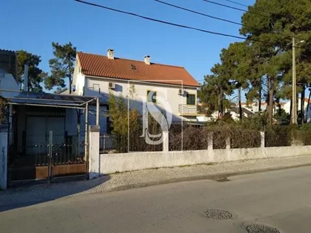 Setúbal Sesimbra 103556530