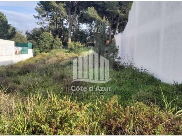 Setúbal Setúbal 104411446