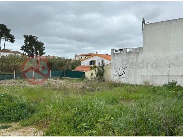 Setúbal Setúbal 100127291