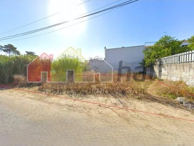 Setúbal Setúbal 101794576