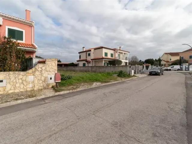 Setúbal Setúbal 103528245