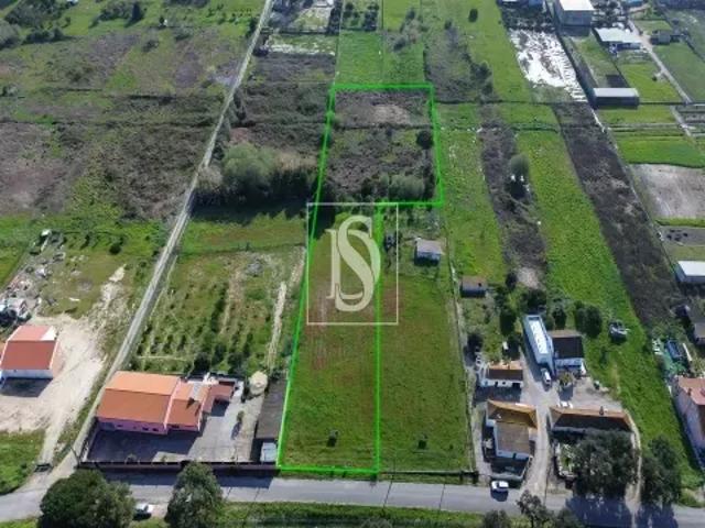 Setúbal Setúbal 103573228