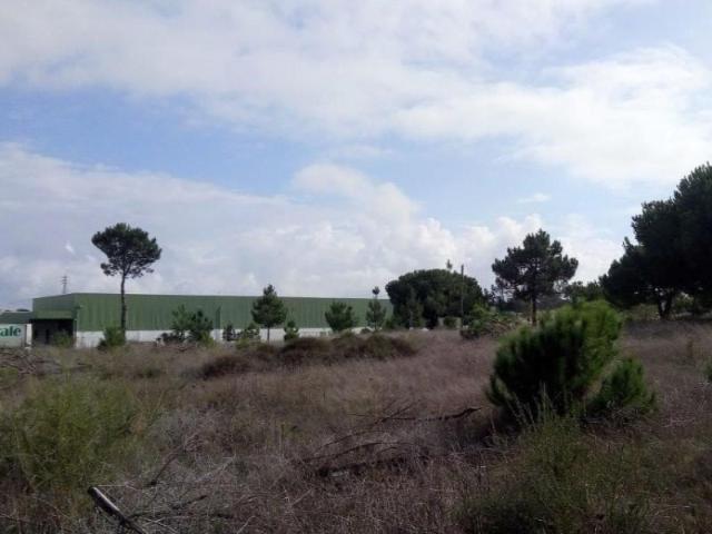 Setúbal Setúbal 2910 738 LS97123290