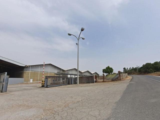 Setúbal Setúbal 2910 845 102329987