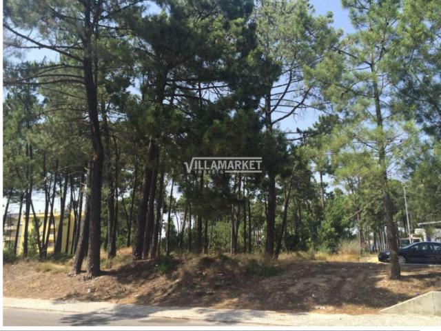 Setúbal Setúbal 76954058