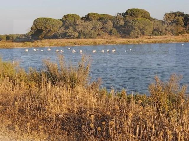 Setúbal Setúbal 96124371