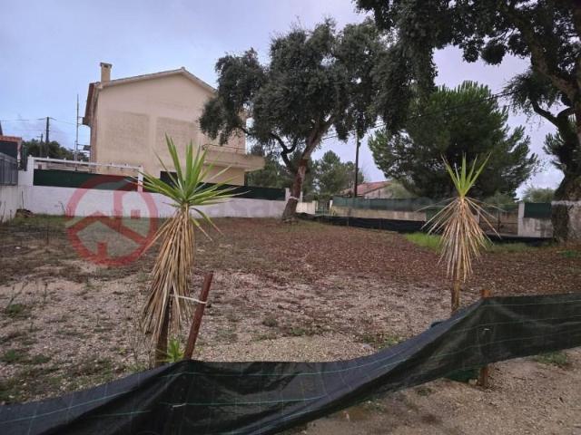 Setúbal Setúbal 97639620