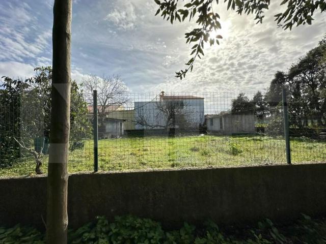 Setúbal Setúbal 98568150