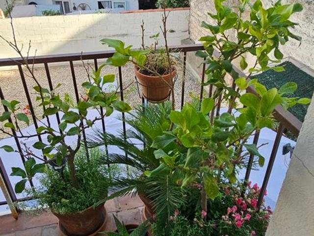 Sète Vente Appartement 34