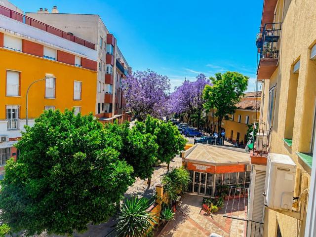 Sevilla auténtica, junto a calle Don Fadrique