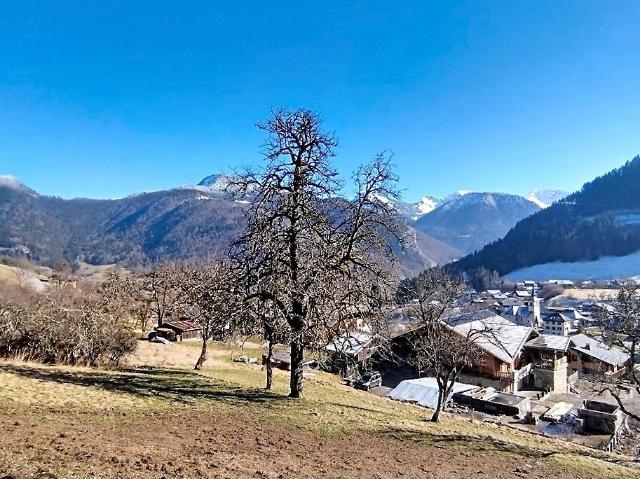 Seytroux Vente Terrain 74