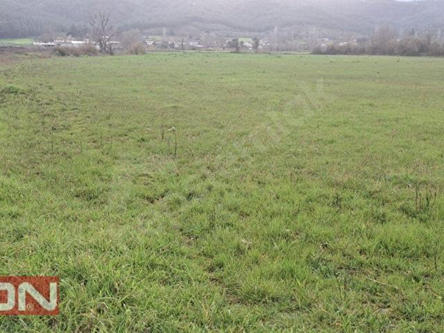 SEYDİKEMER UĞURLU MAH.İLKON'DAN KİRALIK ARAZİ