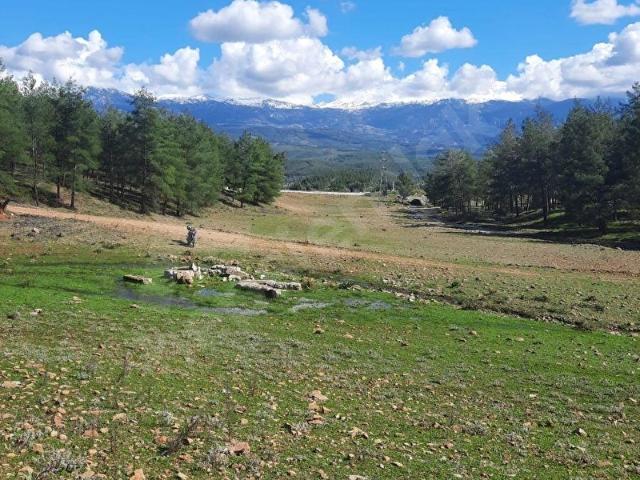SEYDİKEMER UĞURLU MH 462 M2 RIZAİ TAKSİM YAPILMIŞ ARAZİ