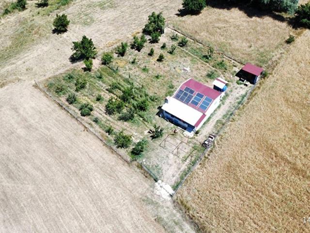 SEYDİKEMER YAYLA ZORLARDA 1.483 M TEK TAPU MÜSTAKİL EV TARLASI