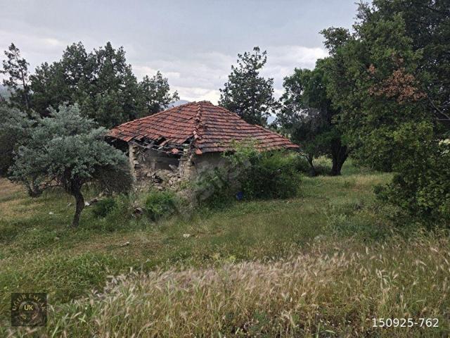 SEYDİKEMER YAYLA ATLIDEREDE KUPON FIRSAT!