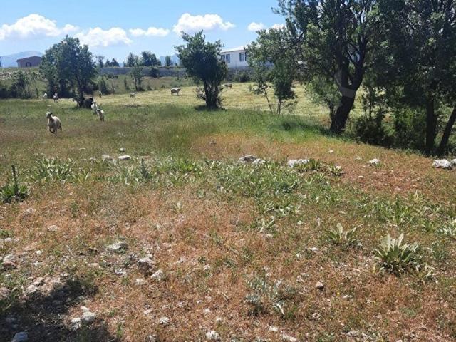 SEYDİKEMER YAYLA PATLANGIÇ 900 M2 ARAZİ