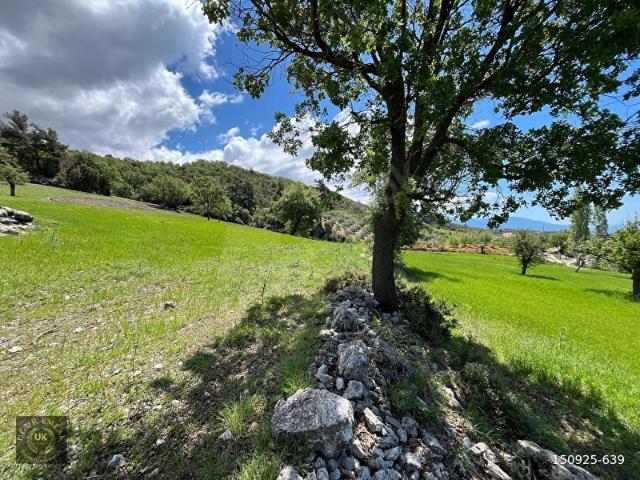 SEYDİKEMER ÇATAK 'DA 2417 M2 PANOROMİK MANZARALI FIRSAT ARAZİ