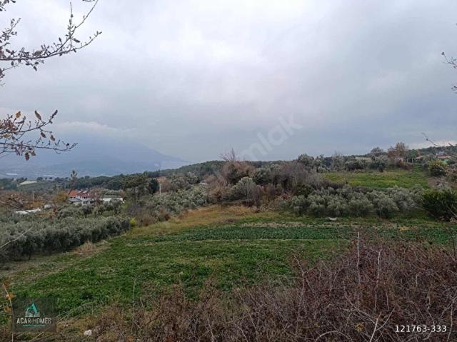 SEYDİKEMER BAĞLIAĞAÇ KÖY İÇİ İMARLI 4958 M2 KADASTOL YOLU VAR