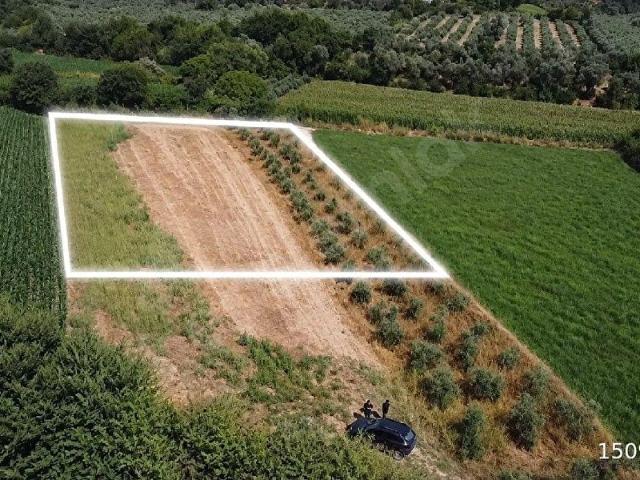SEYDİKEMER DÖĞERDE 1.107 M SATILIK TARIM ALANI