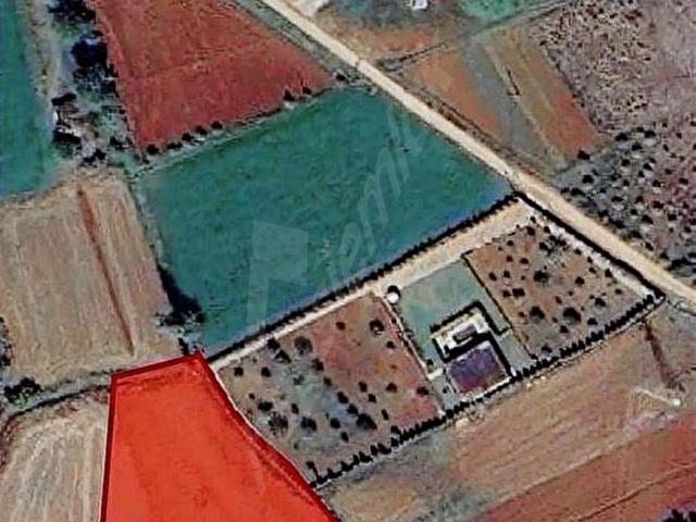 SEYDİKEMER İLK KÖYÜ ÇOBANLAR MAH 5600MT TARLA SATILIK
