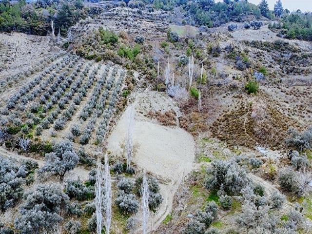 SEYDİKEMER KAYACIK MAHALLESİNDE ACİLL SATILIK MÜSTAKİL TAPU TRLA