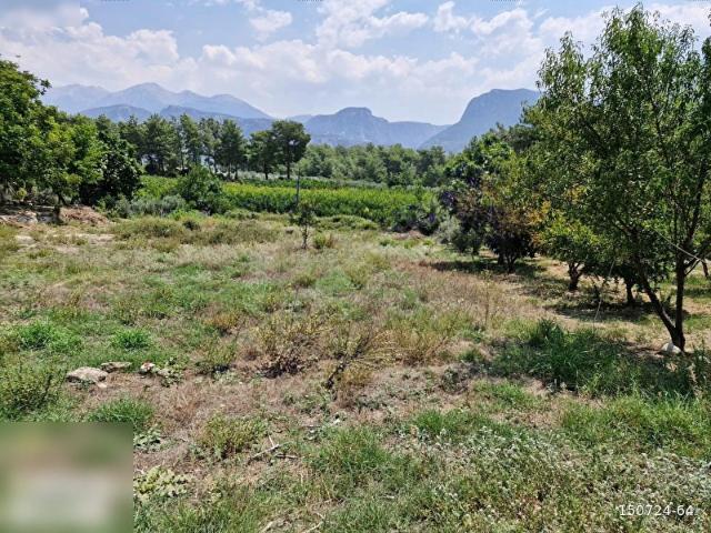 SEYDİKEMER KAYADİBİ SAKLIKENT MAHALLESİNDE FIRSAT ARAZİSİ