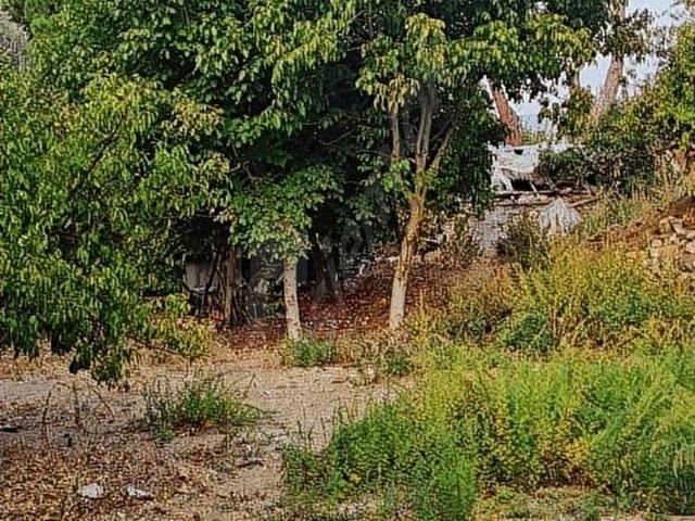 SEYDİKEMER SAHİL CEYLAN MAHALLESİNDE YOLA SIFIR SATILIK TARLA !