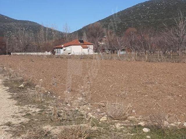 SEYDİKEMER'DE 2.529 m SATILIK TARLA YATIRIM VE DOĞA İÇ İÇE