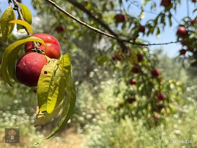 Seydikemer Ortaköy'de satılık
