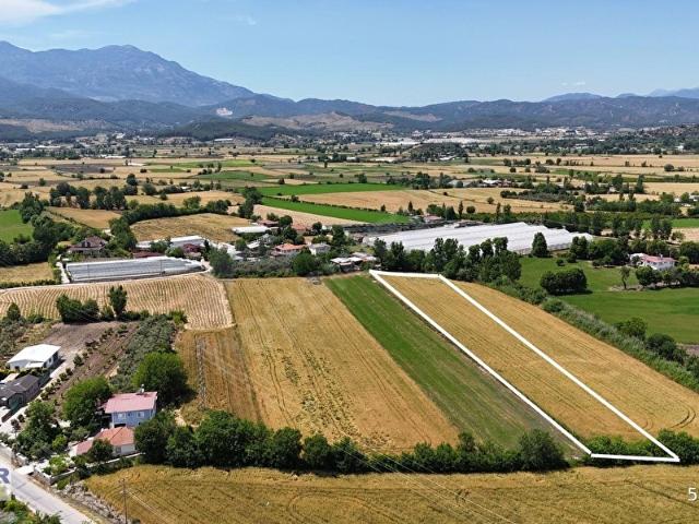 Seydikemer Çamurköyde Satılık 6.000 m Tarla